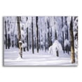 thumbnail image 1 of Epic Art 'White Muslin' by Philippe Sainte-Laudy, Acrylic Glass Wall Art, 16"x12", 1 of 8