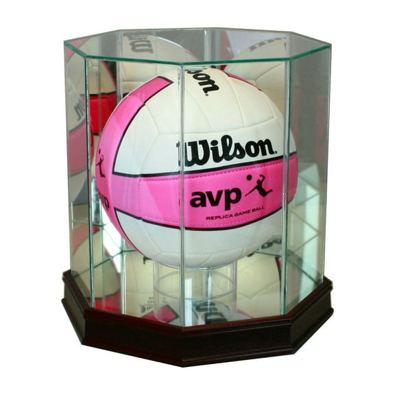 Octagon Volleyball Display Case