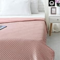 thumbnail image 5 of Posh Hasani 48"x72" Mink Velvet Weighted Blanket Throw-Blush Pink (12 lbs), 5 of 9