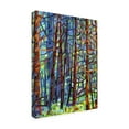 thumbnail image 3 of Trademark Fine Art Mandy Budan In A Pine Forest Canvas Wall Art - 35x47, 3 of 5