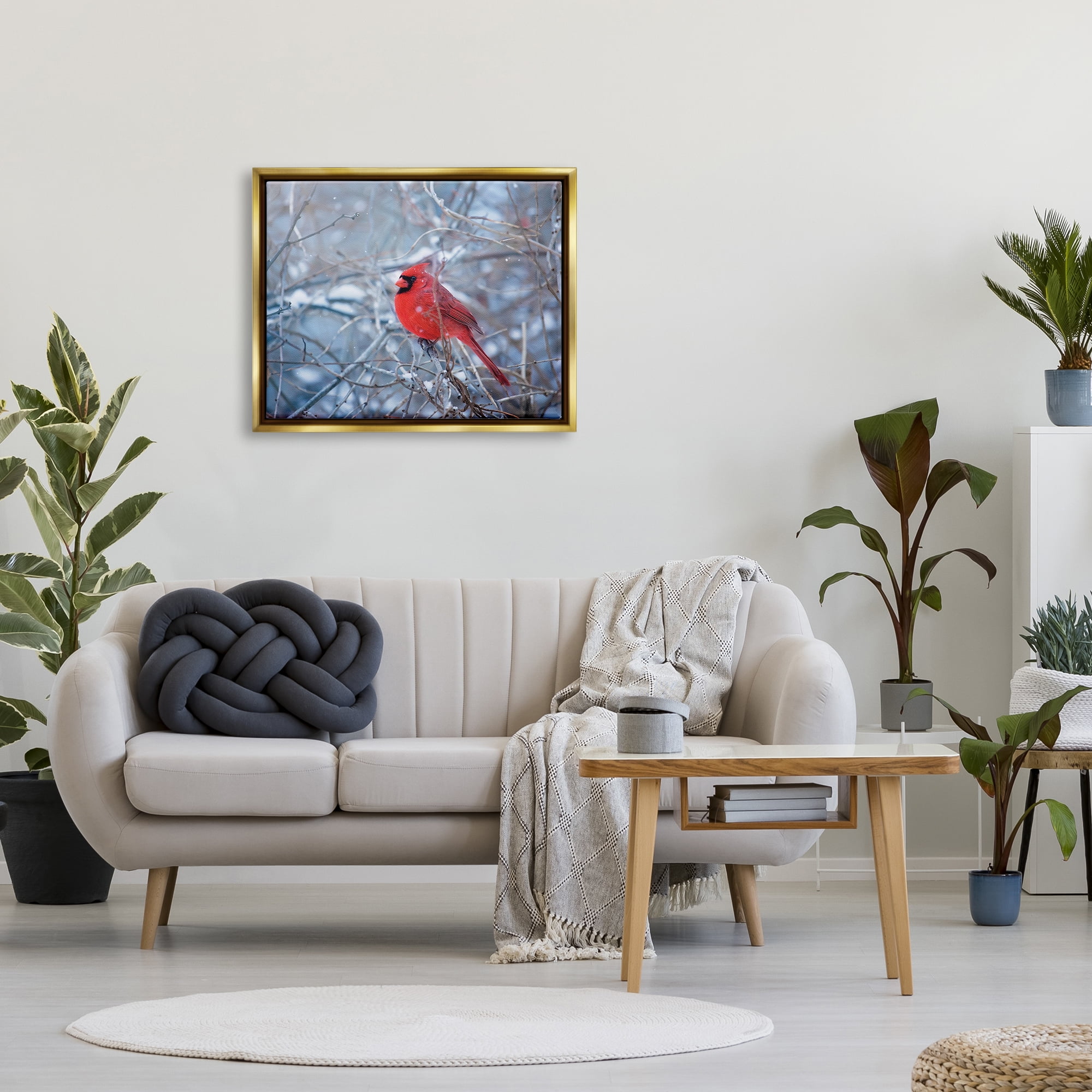 Stupell Industries Cardinal in Winter Branches Animals & Insects Photography Gold Floater Framed Art Print Wall Art, 31 x 25