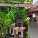 thumbnail image 4 of Alimentadores de Aves para Colgar Al Aire Libre,Alimentador de Aves Colgando de Balcón Al Aire Libre de Plástico,Estación de Alimentación Fácil de Llenar Y Limpiar, 4 of 6