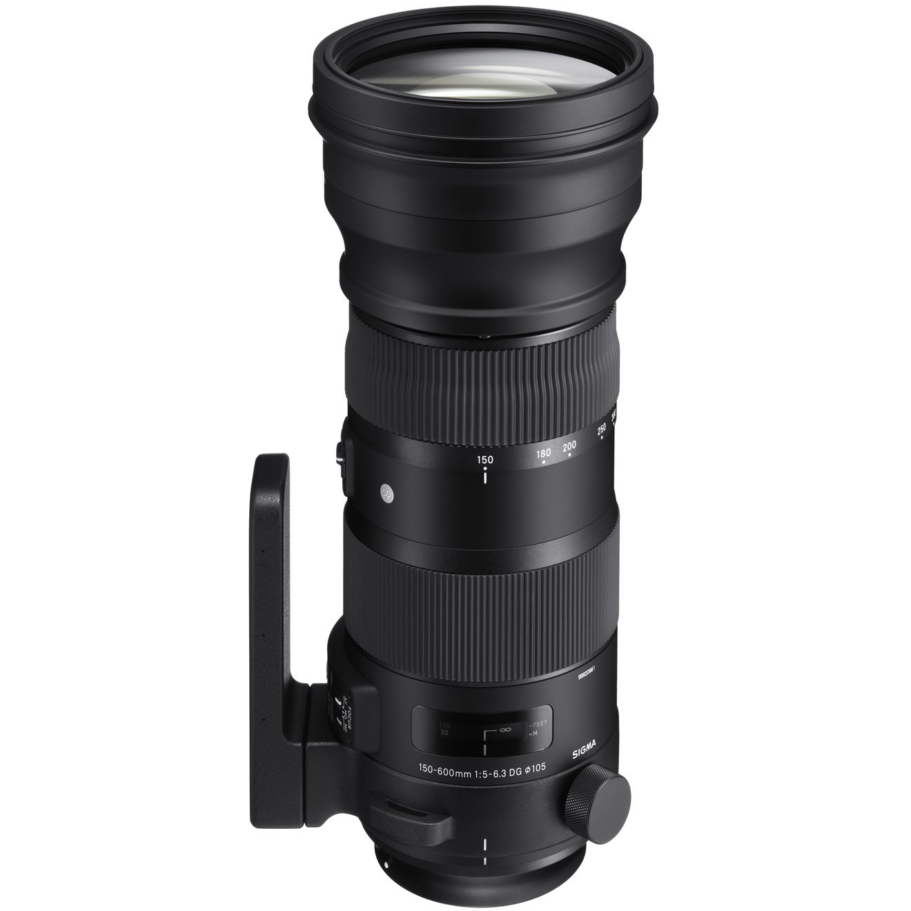 sigma 100 600 nikon