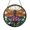 Acrylic 3.5 Inch, variant on Stained Glass Dragonfly Hanging With Lotus Flower Window Decor Botanical Nature Art