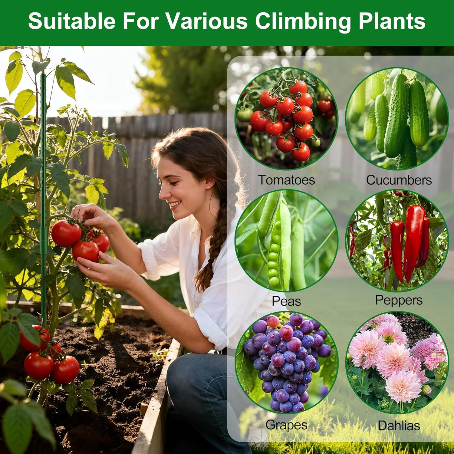 Garden Stakes16 Inch 24 Pack, Tomato cage DIY 4ft 5ft 6ft 7ft 8ft Plant Support Stakes with Connectors and Clips, Plastic Coated Metal Sticks for Tomato Indoor Outdoor