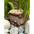 thumbnail image 4 of Home Decorative Outdoor Squirrel'S Tail Bird Feeder, 4 of 6