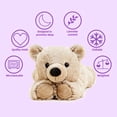 thumbnail image 2 of Peluche Warmies Brown Bear, apto para microondas, con aroma a lavanda, 2 of 4