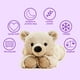 thumbnail image 2 of Peluche Warmies Brown Bear, apto para microondas, con aroma a lavanda, 2 of 4