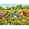 thumbnail image 4 of Birds in The Meadow 500 Piece Jigsaw, 4 of 4