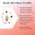 thumbnail image 4 of Best Nest Wellness Ready Bird Fertility Supplement for Men, 3-in-1 Multivitamin, Herbal Blend, 30 Ct, 4 of 6