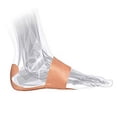 thumbnail image 1 of FasciaDerm System for Plantar Fasciitis, 1 of 4