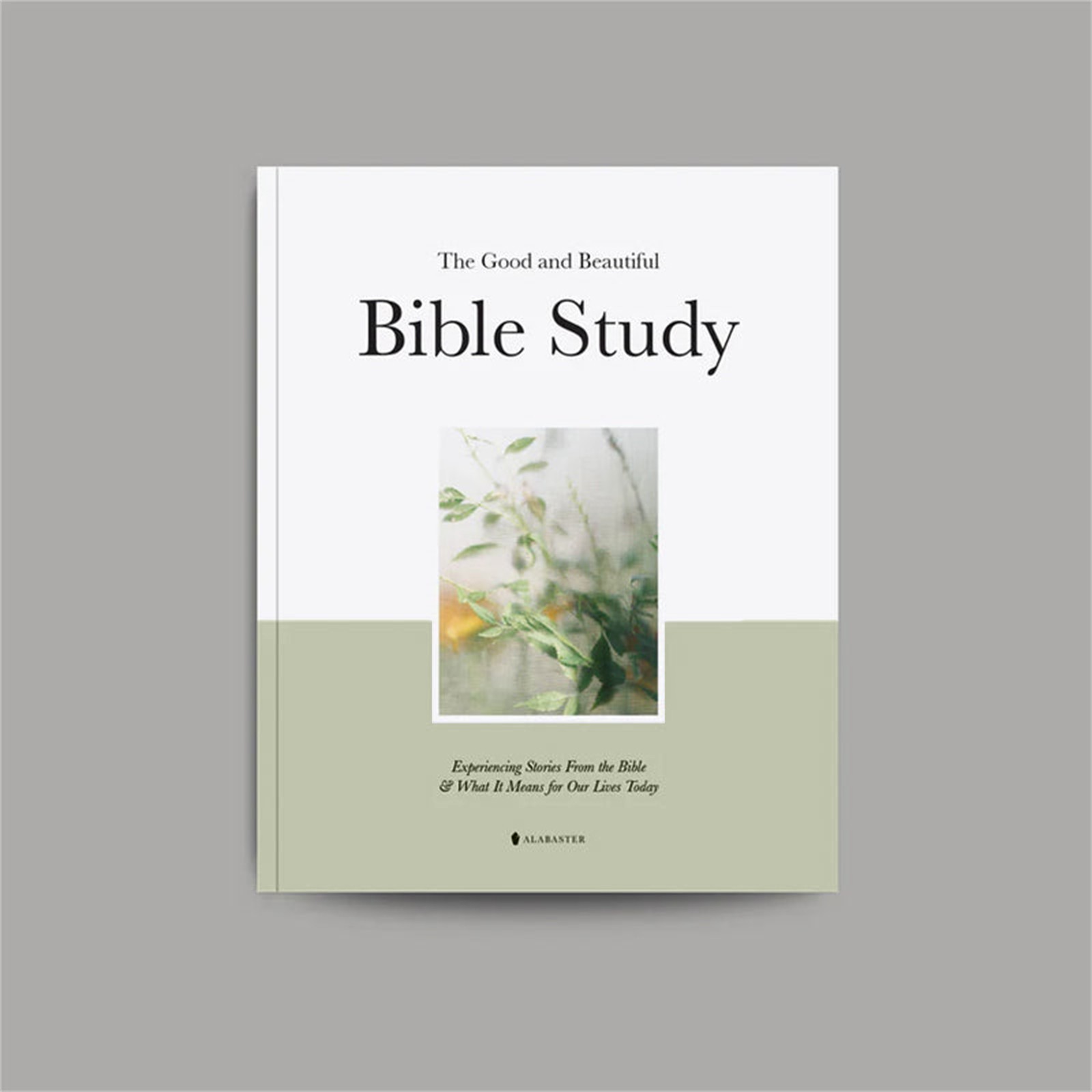 The Good and Beautiful Bible Study- Discover The Strength Of Biblical ...