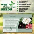 thumbnail image 2 of Outsidepride Peony Antique Shades - 10000 Seeds, 2 of 5