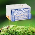 thumbnail image 6 of hengtong ANT Housing Nest Acrylic ANT Farm for Gift Childrens Day Science Observation Blue, 6 of 9