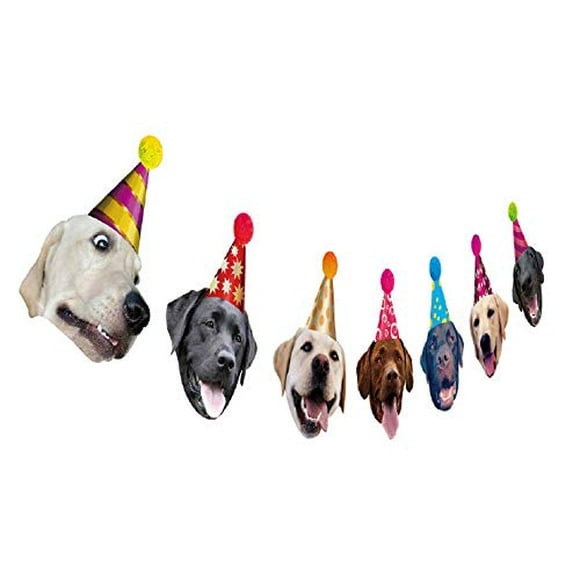 Dogs Birthday Garland Funny Labrador Face Portrait Birthday Banner Dog Bday Bunting Decoration