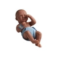 thumbnail image 1 of JC Toys La Newborn First Day - Poupée Garçon Réelle - 14 Po, 1 of 1