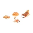 thumbnail image 4 of Scorpion Life Cycle Toys Kit Educational Insect Lifestyle Stages Toy Set for Kids#1, 4 of 14