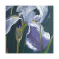 thumbnail image 1 of Iris in Hyperrealism - Canvas, 1 of 10