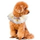 thumbnail image 1 of Collar para perro y gato con perla, babero para mascotas, bufandas bonitas, collar con correa para el cuello, suministros para disfraces de mascotas (amarillo), 1 of 5