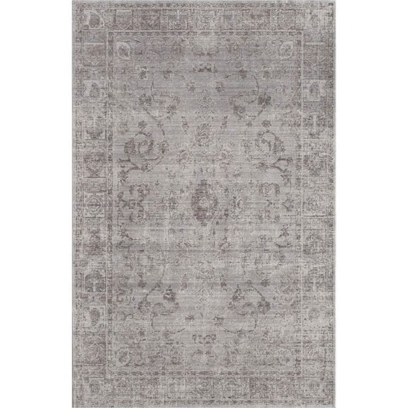 Rugs America Asteria Collection grey AI250C Transitional Floral Area Rug 2' x 3'