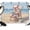 Pink, Blue, Tan, Grey, variant on 7x5ft Photo Backdrop, Surfing Pig Soft Polyester Backdrop Curtains Photography Backdrops, Oil Painting Funny Animal Beach Summer Brushed Background for Photoshoots Studio Video Portrait Parties