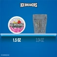 Ice Breakers Sparkling Raspberry Lemon Seltzer Flavored Sugar Free ...
