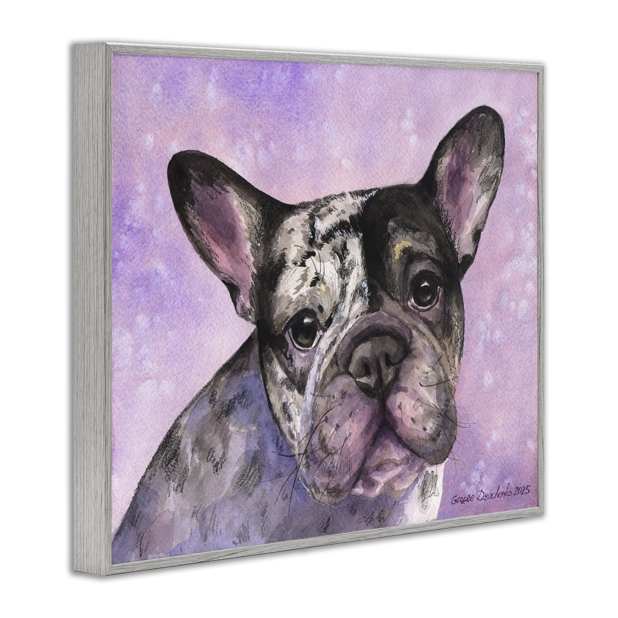 Stupell Industries Harlequin French Bulldog Gray Framed Giclee Art, design by George Dyachenko