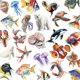 thumbnail image 1 of Paquete de pegatinas Ocean Animal, 50 unidades, vinilo con dibujos animados de vida marina, 1 of 2