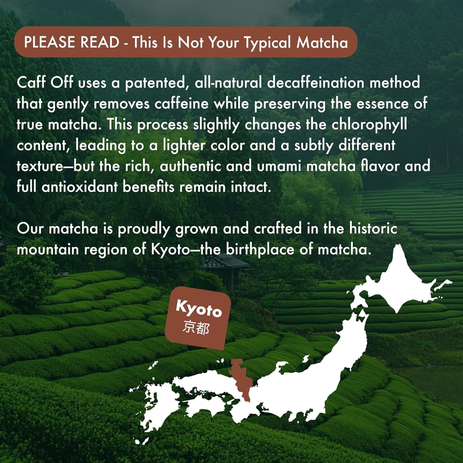Caff Off Decaf Chocolate Matcha Green Tea Powder From Japan – 1.06 oz / 30 g – Ceremonial Grade & Sugar-Free – No Fillers or Milk Powders – Naturally Decaffeinated Without Chemicals