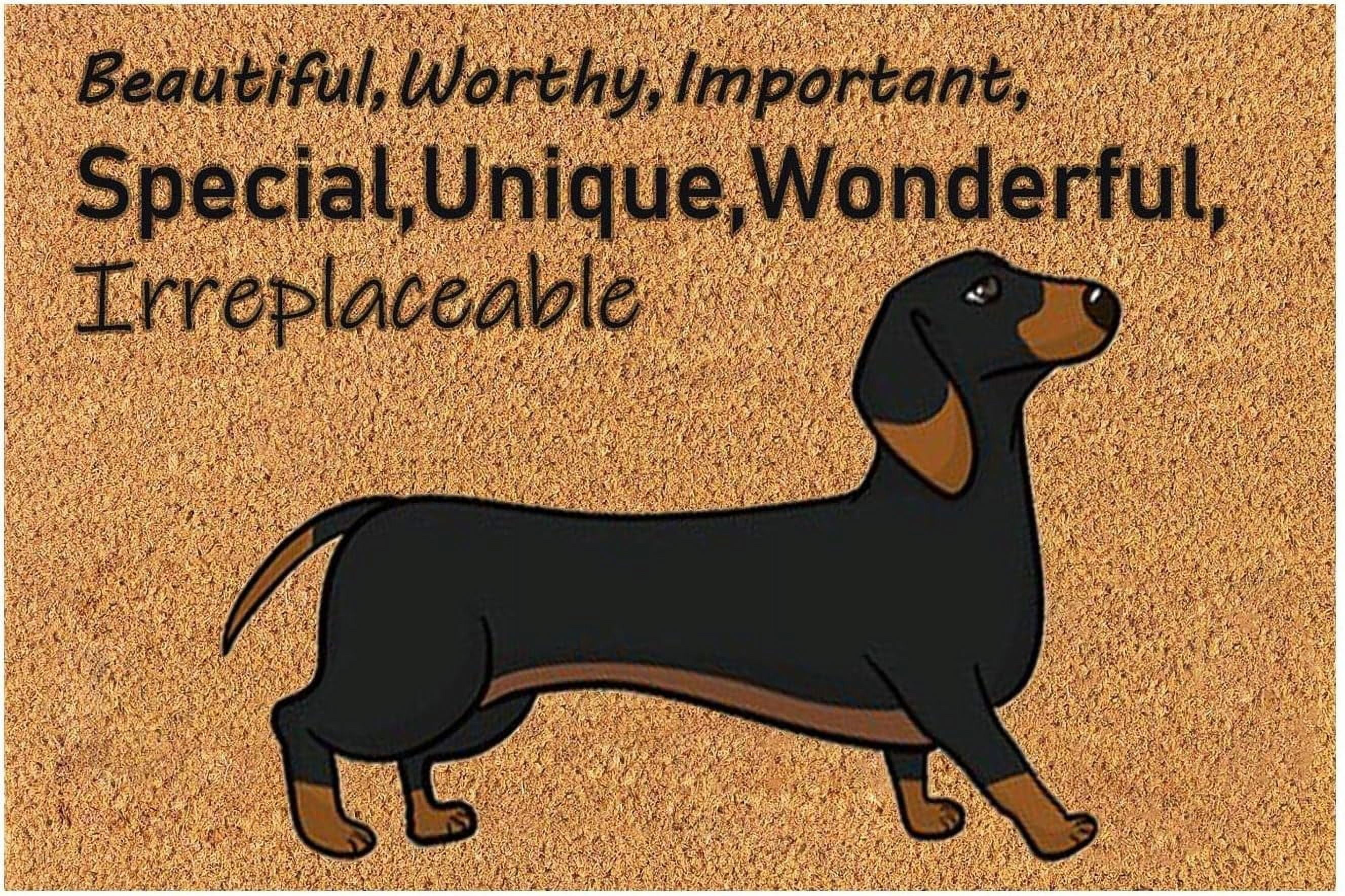 Coir Mat Door Mat Outdoor Mat for Entryway Outside Yard Home Decoration Door Mat - Novelty Designs Welcome Doormats Dachshund Coco Coir Outdoor Mat Natural Coir Doormat with Non-Slip Backing Sale