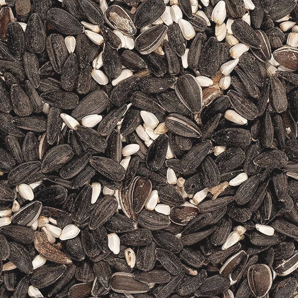 Happy Wings Cardinal Blend Bird Food, Mix of Sunflower Hearts/Kernels &Safflower Seed, 4 lb, No Grow Seed | Birdseed for Wild Birds | 2 Pack