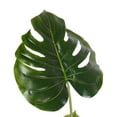 thumbnail image 2 of Vickerman 54" Artificial Potted Grand Split Philodendron Tree., 2 of 7