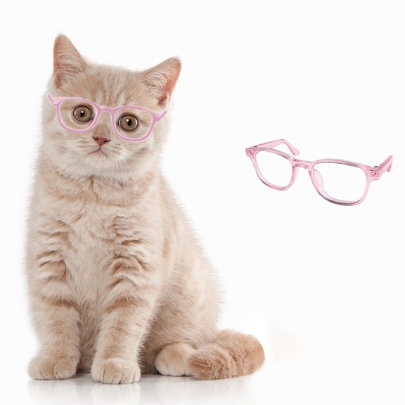WJY Pet Glasses for Windproof Eye for Dogs and Cats Cool Eyewear Accessory, Pink