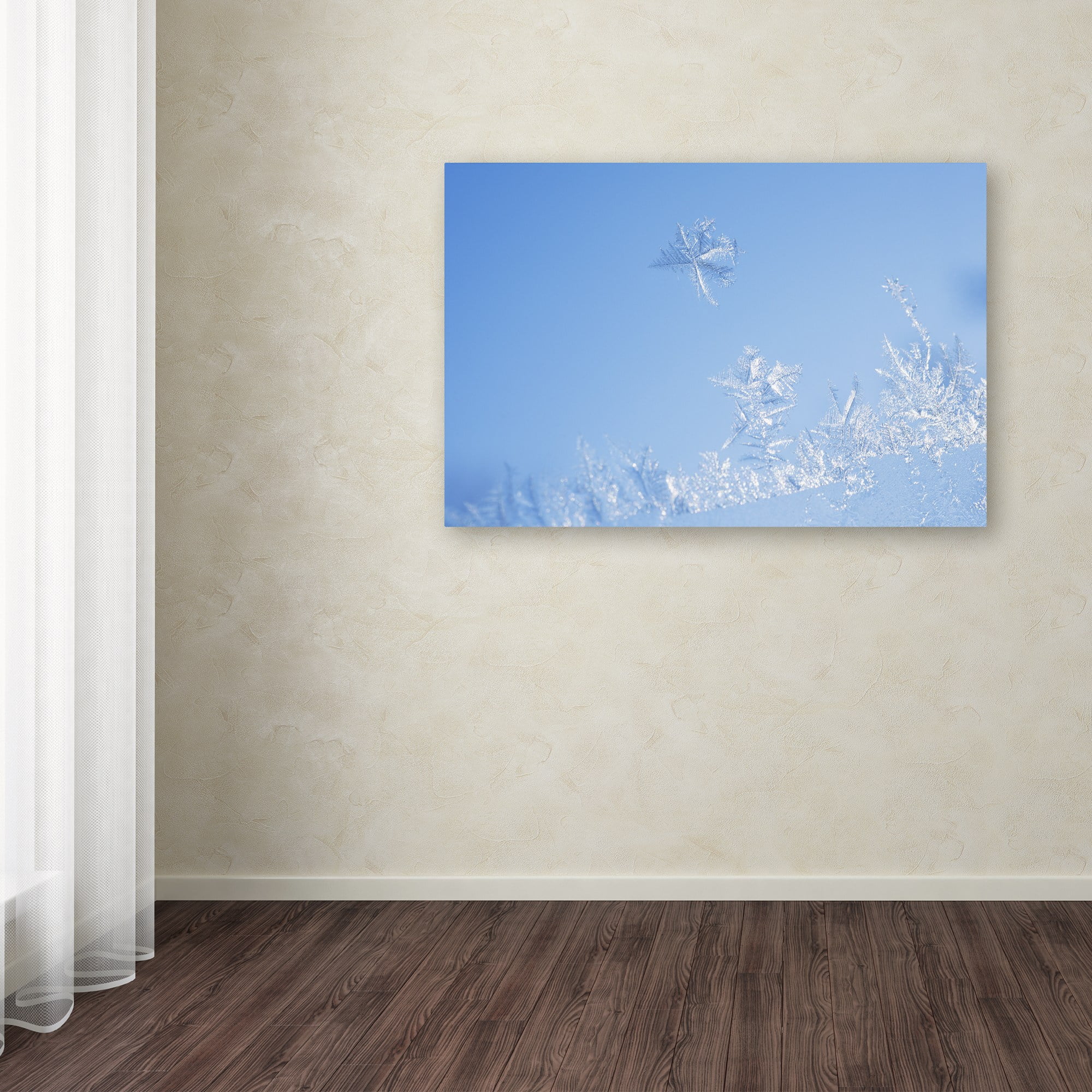 Trademark Fine Art "Window Frost" Canvas Art by Kurt Shaffer
