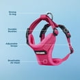 thumbnail image 6 of Voyager Step-In Lock Cat Harness - Adjustable Step-In Vest Harness for Small and Large Cats by Best Pet Supplies, 6 of 9
