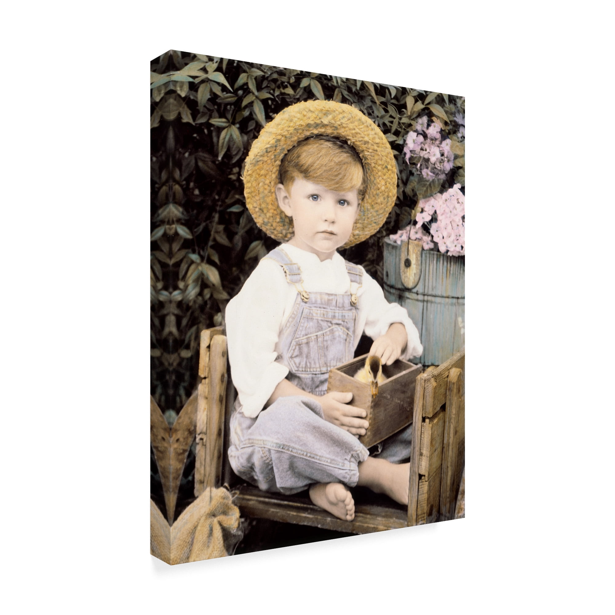 Trademark Fine Art 'Darling Duckling' Canvas Art by Sharon Forbes