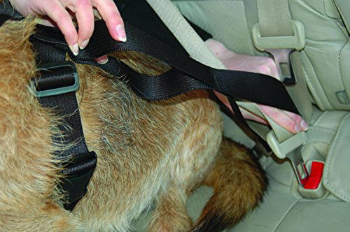 The Company of Animals Clix Carsafe In-Car Safety Harness For Dogs