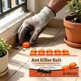thumbnail image 5 of Ant Traps Indoor & Outdoor Gel Station Insect Control System – Long Lasting Pest Management Solution (1PC), 5 of 8