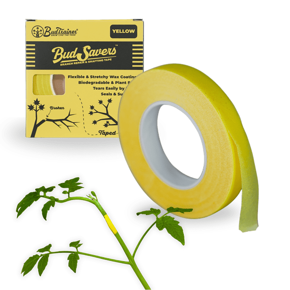 BudTrainer BudSavers 90ft Grafting Tape (Yellow) - Self-Adhering, Flexible, Water-Resistant Branch & Stem Repair Tape for Plant Support