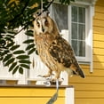 thumbnail image 3 of Fake Owls, 1 Pcs 12*8.8 inches Owls Statue, Owl Decoys to Scare Birds Away, Weatherproof Owls Decoy to Frighten Birds for Outdoor Garden, Halloween Yard Decoration, 3 of 12