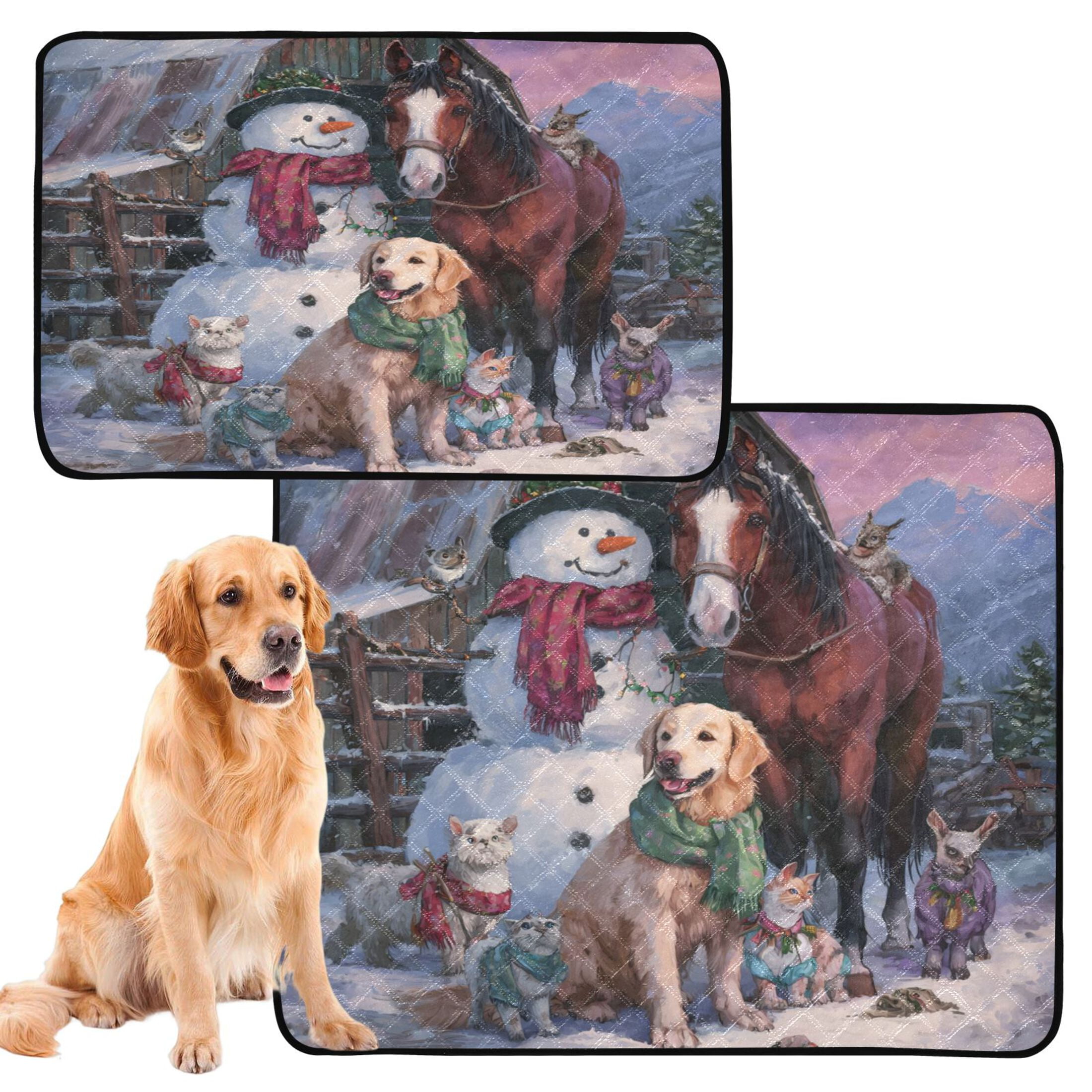 Qxltty Farm Snowman Cat litter Pads Pet Set of 3 Diaper Mats Center Anti-leakage Layer Absorbent Soft and Comfortable