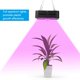 thumbnail image 4 of Lámpara De Cultivo De Plantas, Ahorro De Energía 220 V/110 V 200 W, Luz De Cultivo, Cultivo De Tejidos Para Plantas En Macetas De Crecimiento Vegetal De Jardín Interior, 4 of 8
