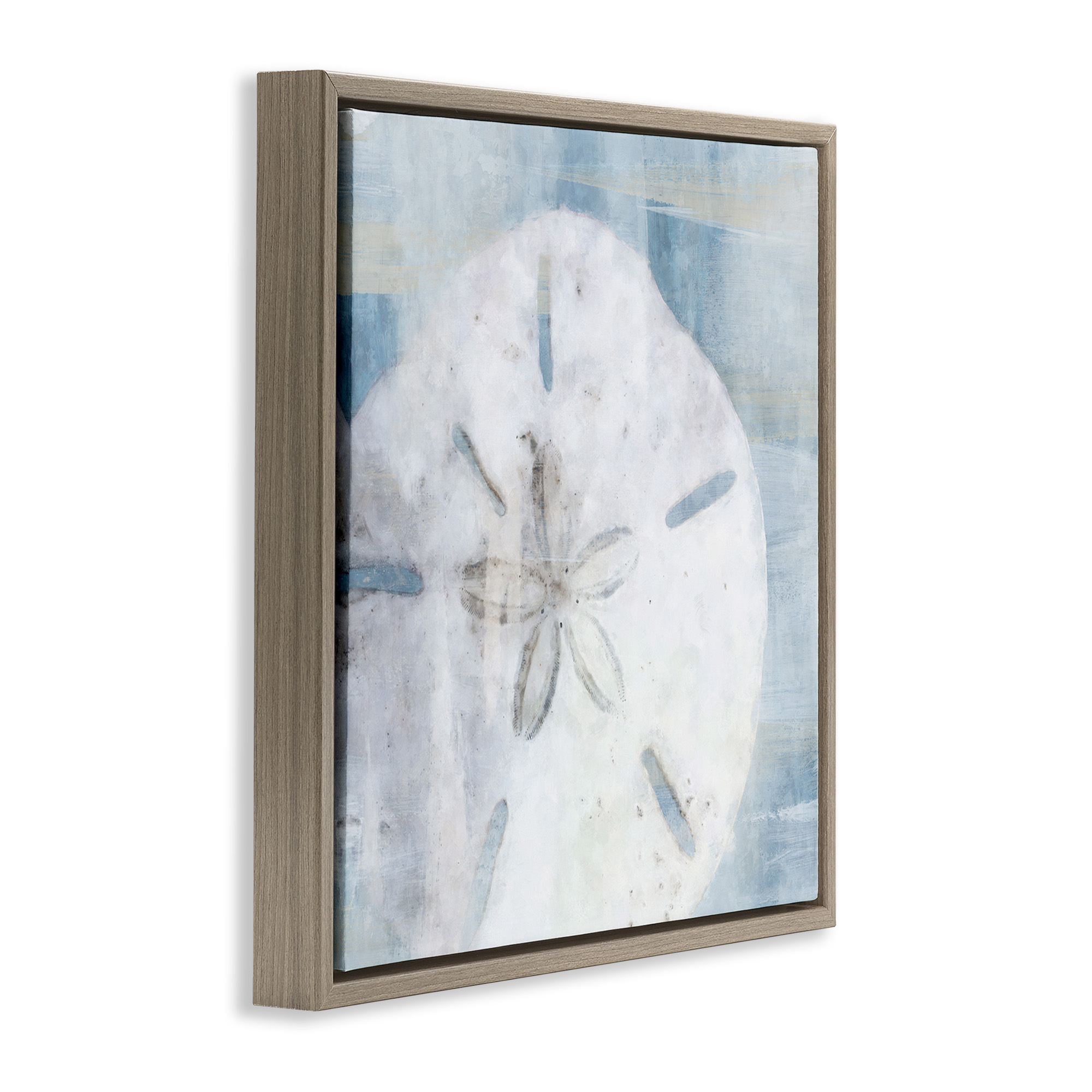 Stupell Industries Pastel Blue Sand Dollar Seashell Nature Painting Brown Floater Framed Canvas Art Print Wall Art, 18 x 18