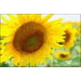 thumbnail image 1 of Sunflowers- Claude Monet - CANVAS OR FINE PRINT WALL ART, 1 of 1