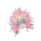 thumbnail image 5 of Tocado de plumas, accesorio de disfraz para carnaval, espectáculos escénicos Rosa Gris, 5 of 9