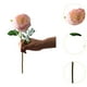 thumbnail image 2 of Rosa artificial de tallo largo, preservada para siempre. Rosa claro, 2 of 6