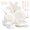 17pcs-cream white, variant on 17-Piece Cookware Set, 5 Pots and 2 Lids, Removable Handles, Non-Stick Aluminum Pots and Pans, Microwave & Oven Safe, Dishwasher Safe, Cream White