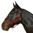 thumbnail image 6 of Intrepid International Poly with Leather Crown Halter-Cob/Sm.Horse Navy, 6 of 6