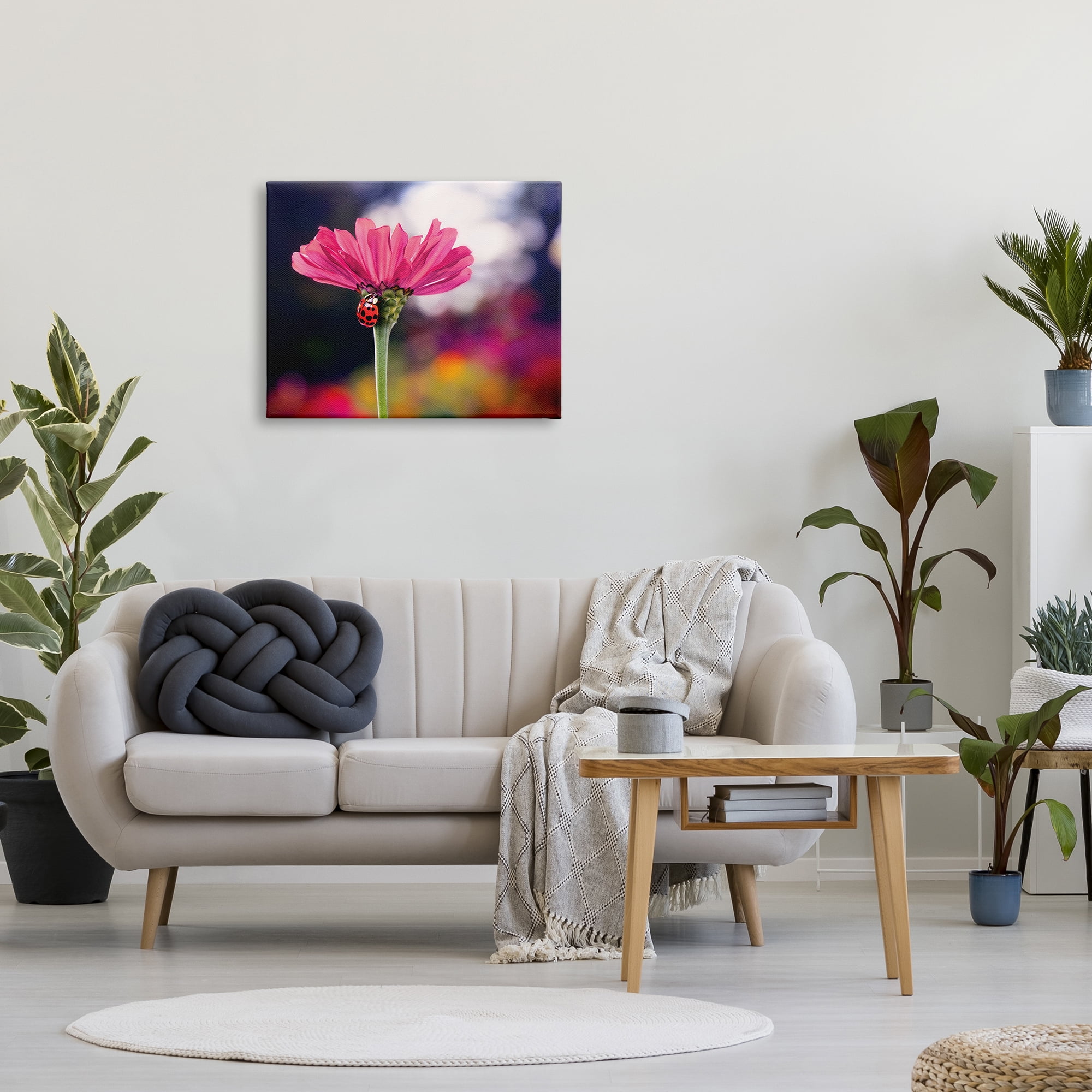 Stupell Industries Ladybug with Pink Flower Animals & Insects Photography Gallery Wrapped Canvas Print Wall Art, 30 x 24