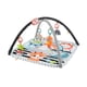 thumbnail image 1 of Gimnasio de Actividades Fisher Price Newborn Musical 3 en 1, 1 of 4